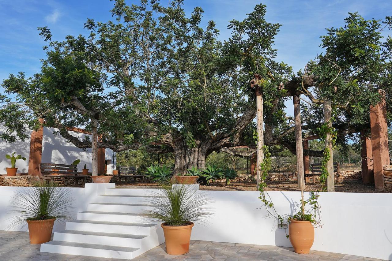Villa Can Vicent San Antonio  Exterior photo